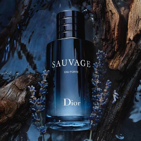 Sauvage Eau Forte Profumo senza alcol – Note fresche e intense 